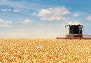 Угорщина хоче допомогти Україні з експортом зерна і пропонує переробні заводи на кордоні