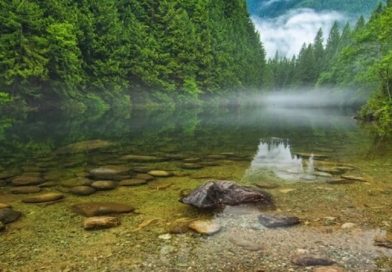 Вперше в історії людство порушило колообіг води на планеті: науковці заявили про наслідки