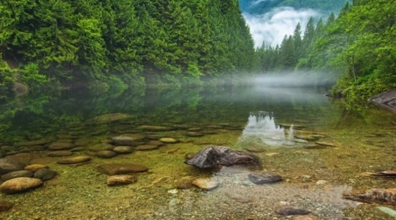 Вперше в історії людство порушило колообіг води на планеті: науковці заявили про наслідки